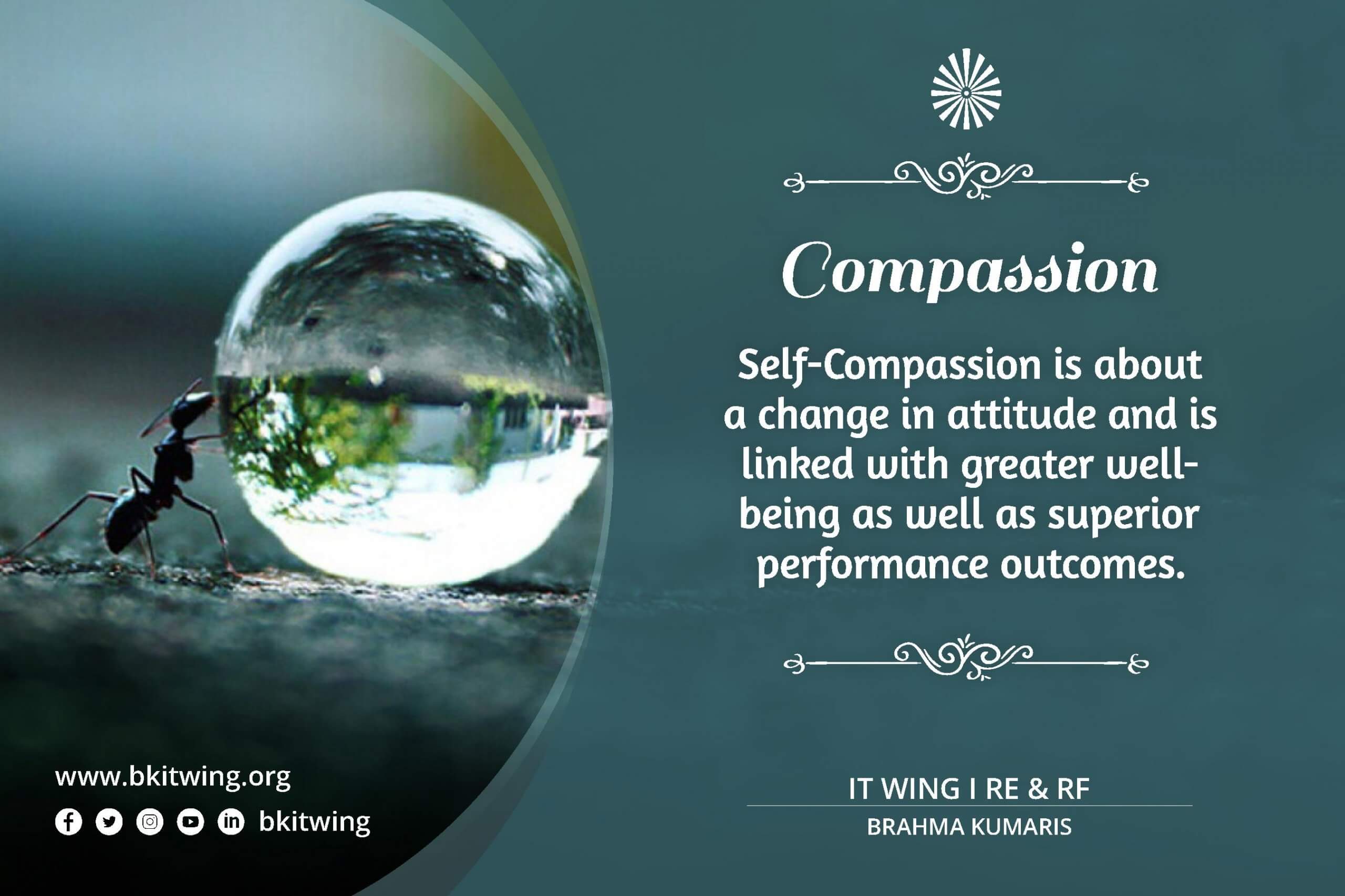[ Thought for the Day ]